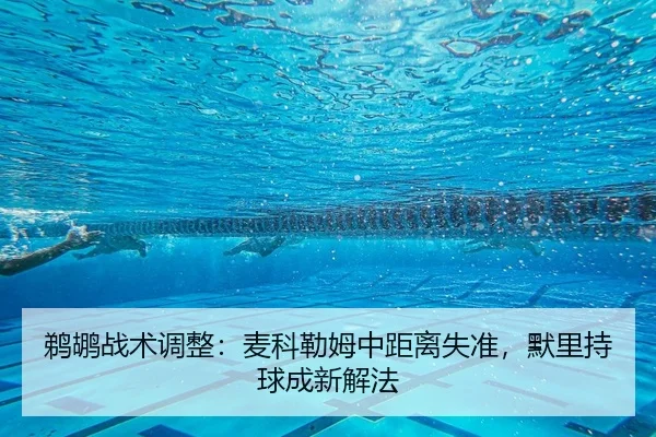 鹈鹕战术调整：麦科勒姆中距离失准，默里持球成新解法